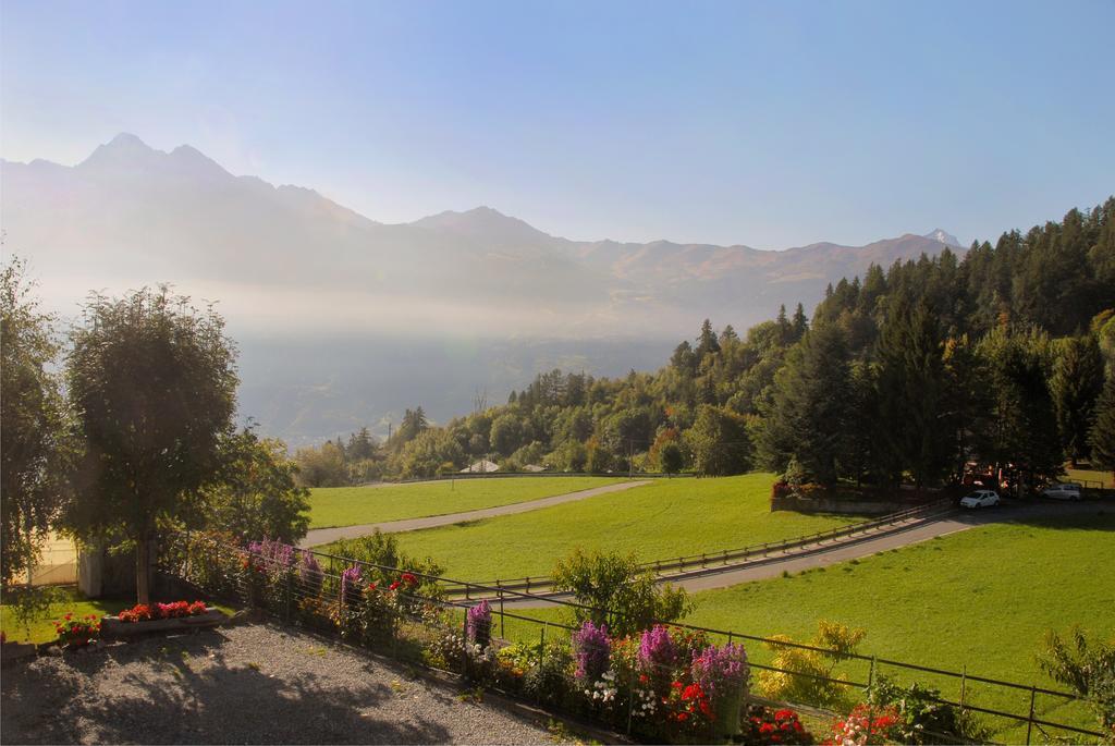 Plan D'avie Bauernhof Aosta