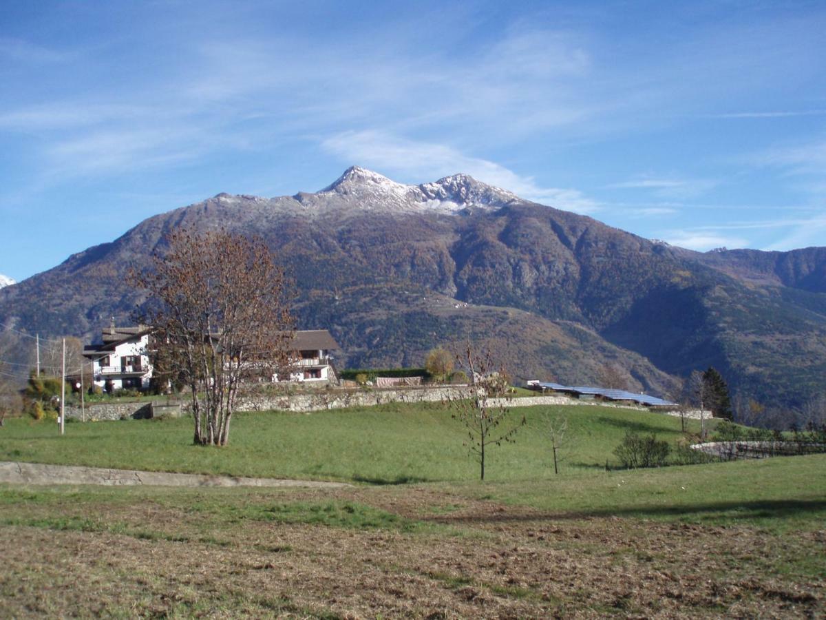 Bauernhof Plan D'avie
