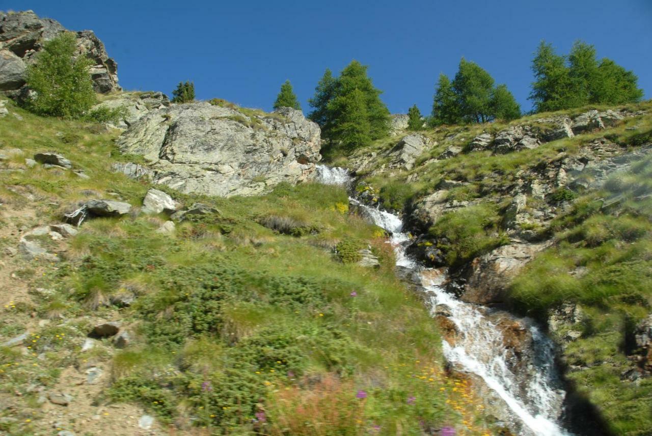 Plan D'avie Bauernhof
